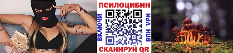 купить наркотики сайты Павловский Посад Галлюциногенные грибы Magic Shrooms